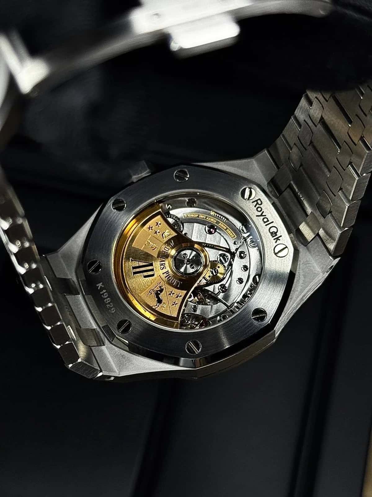 Royal Oak Lady - Thumbnail 11